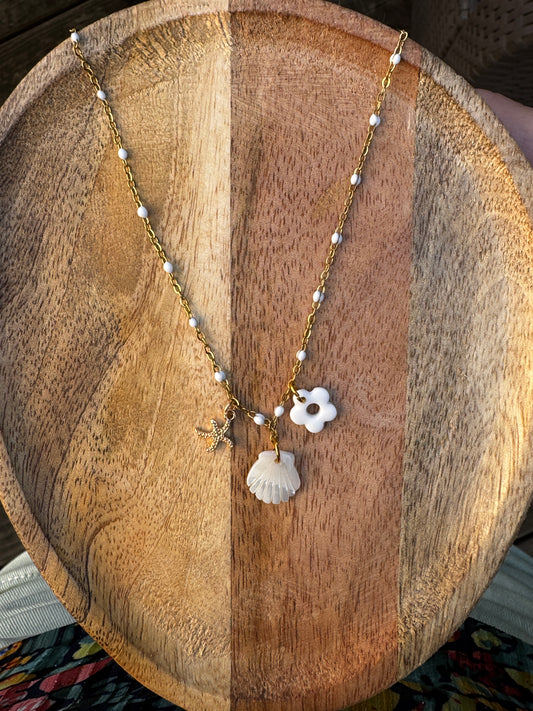Collier coquillage nacré